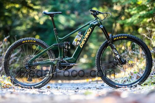 Devinci E-Troy ficha tecnica